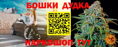 МДПВ Будённовск