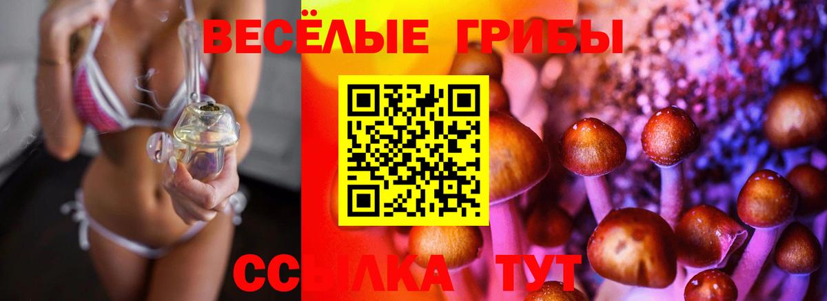 Тельмана  Галлюциногенные грибы ЛСД  Вход с VPN 